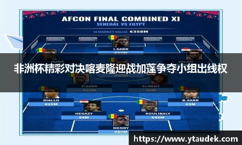 3377体育官网