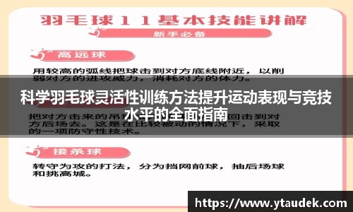 3377体育