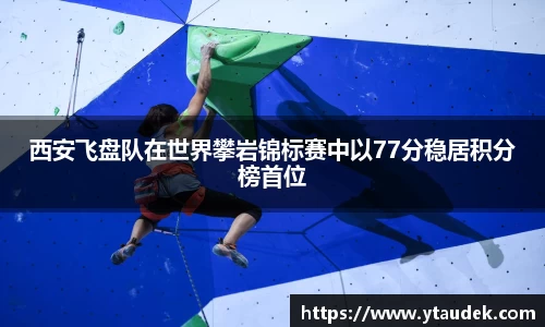 3377体育
