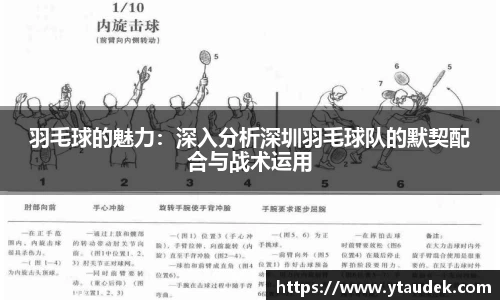 3377体育官网